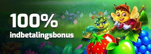 100% indbetalingsbonus