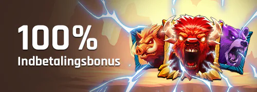 100% Indbetalingsbonus